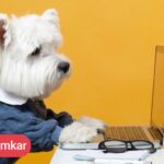 CRM پت‌شاپ چه مزایایی برای فروشگاه‌های حیوانات خانگی دارد؟